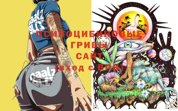 МДМА Почеп
